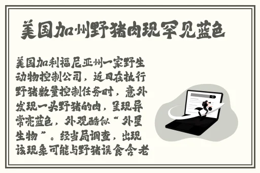 色播开心网